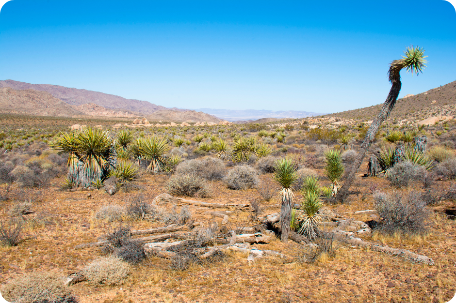 Návrh bez názvu - 2025-09-26T081910.308